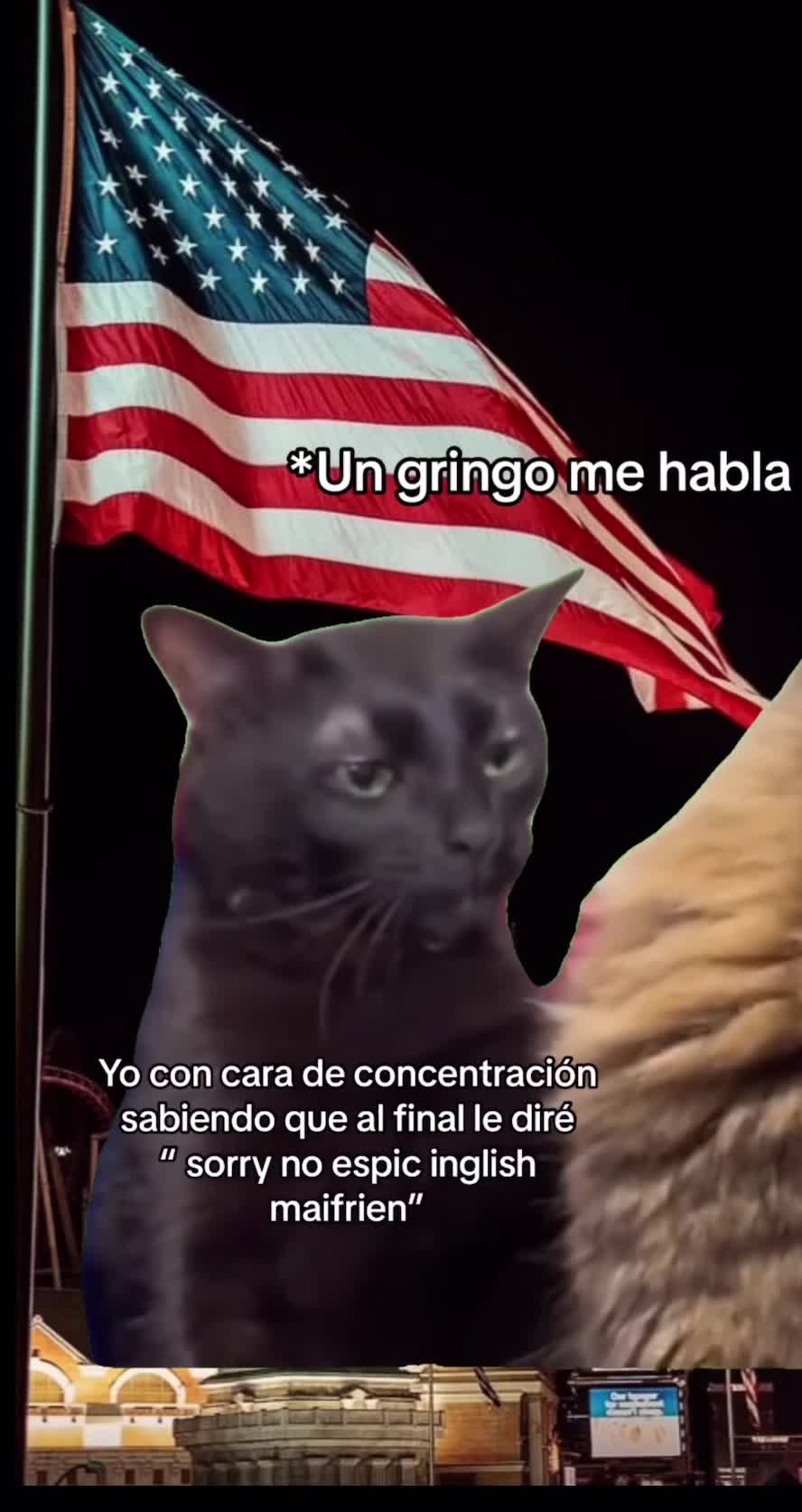 @alex_montejo05