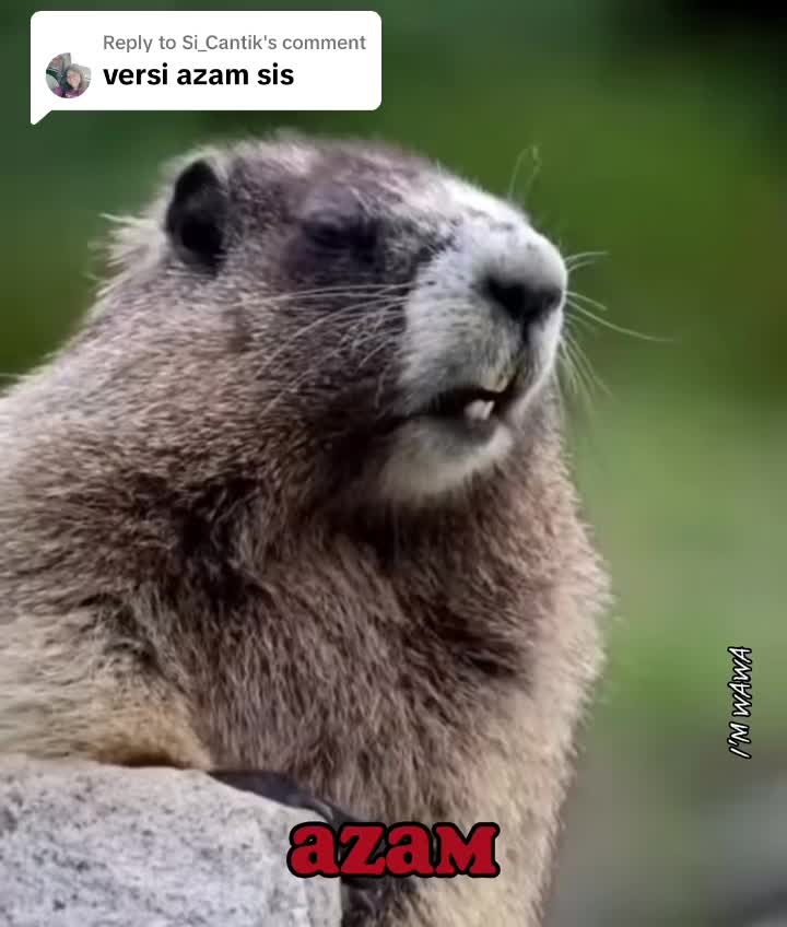 @【IM】&omega;ᤂ-&omega;ᤂ(&bull;ᴗ&bull;)