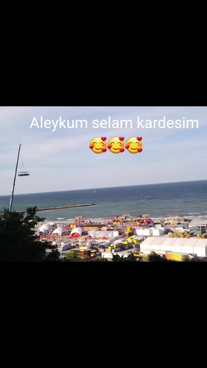 @Rodica Faisal