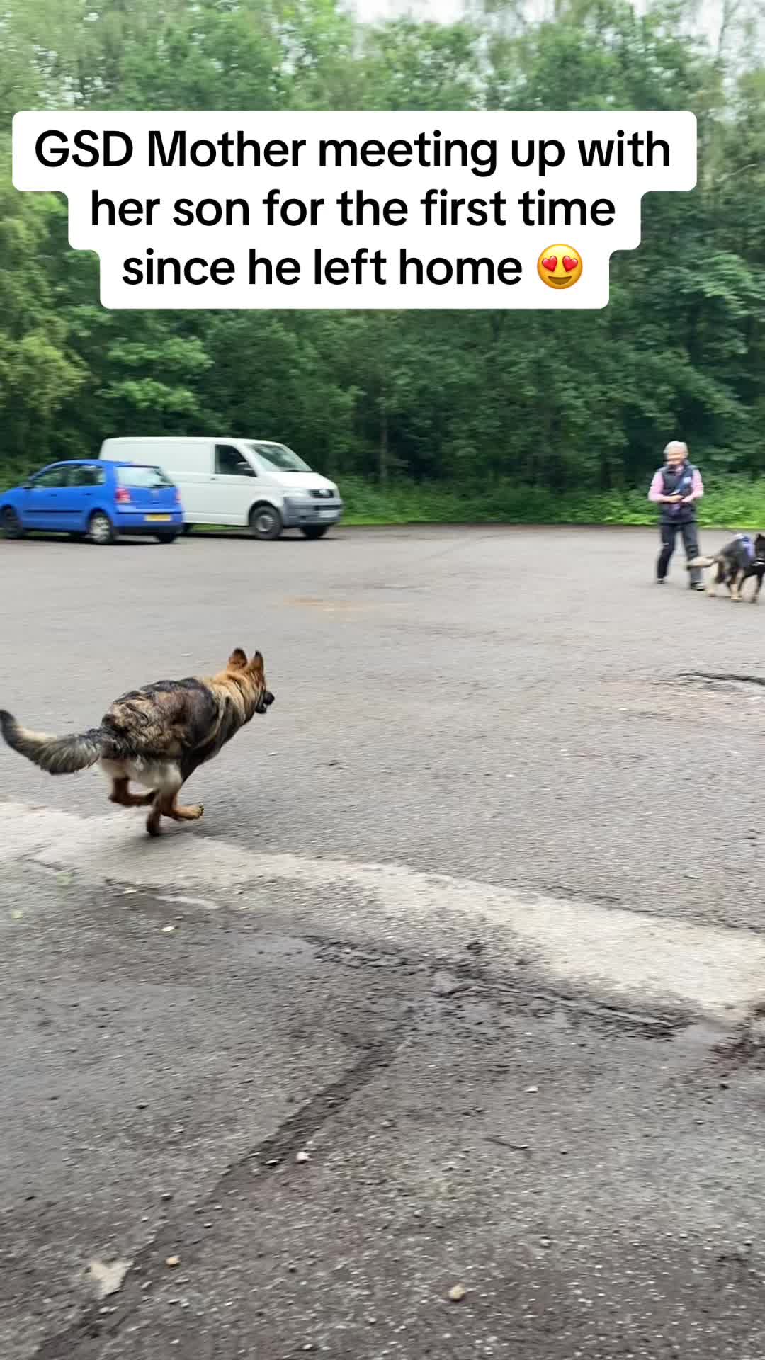 @TheGSDhubwithjennygould