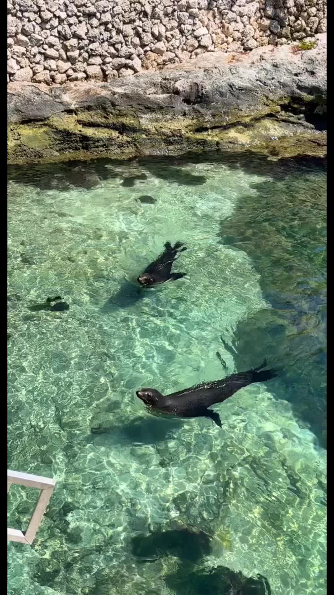 @Travel With Britt