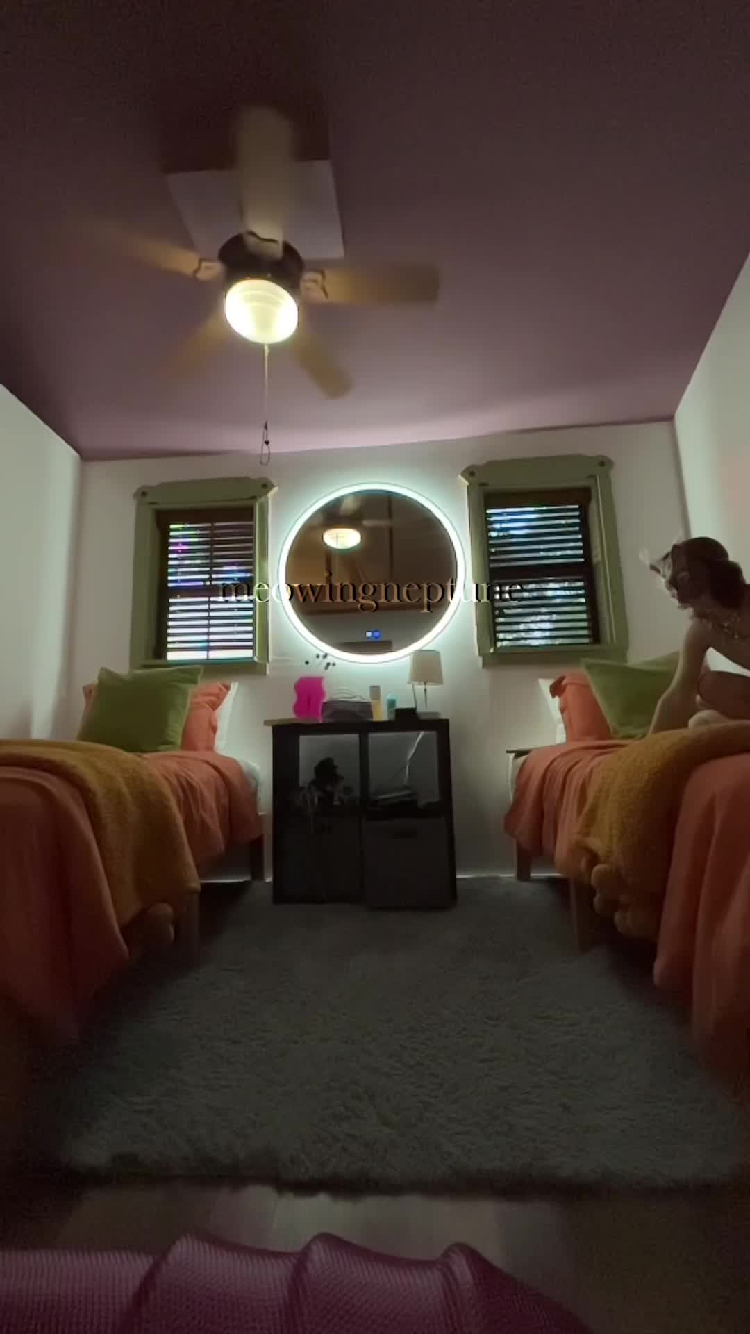 @🐾:|~ ᴋᴏᴅᴀ ~|:🍓