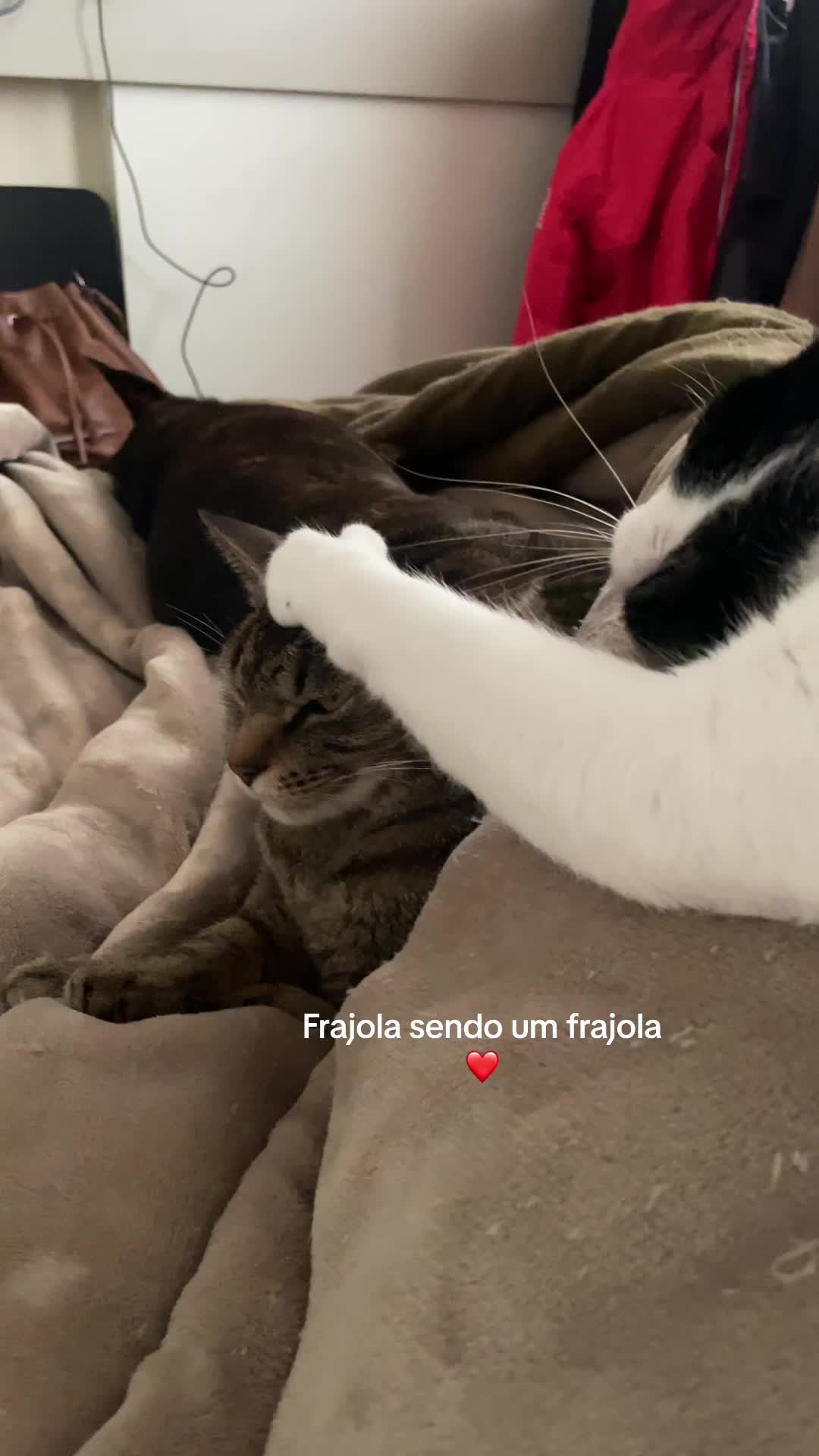 @Leticia