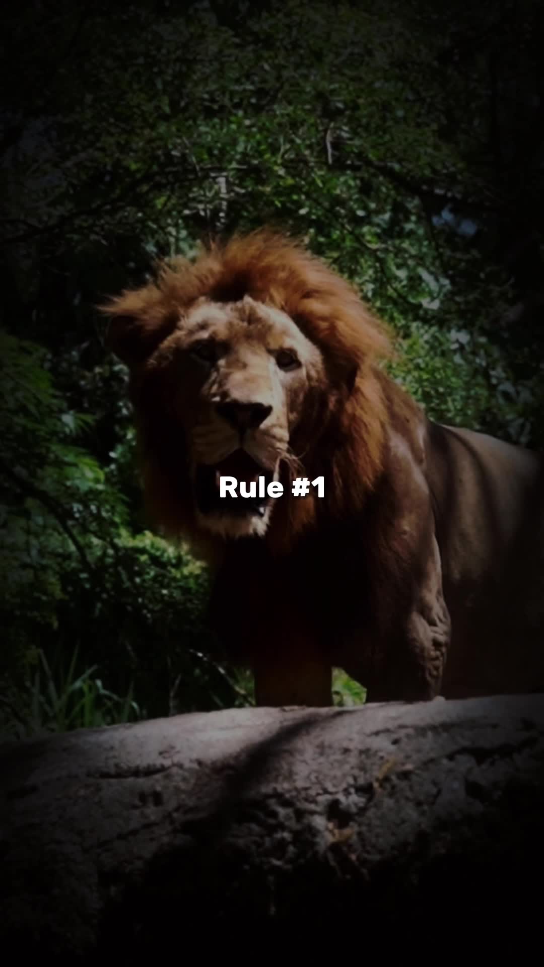 @HerculeanMotivation
