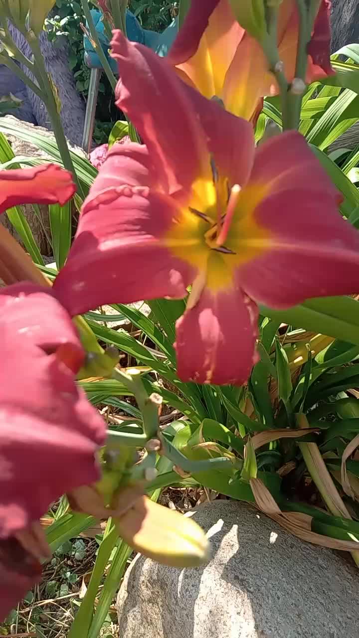 @MaGdaC