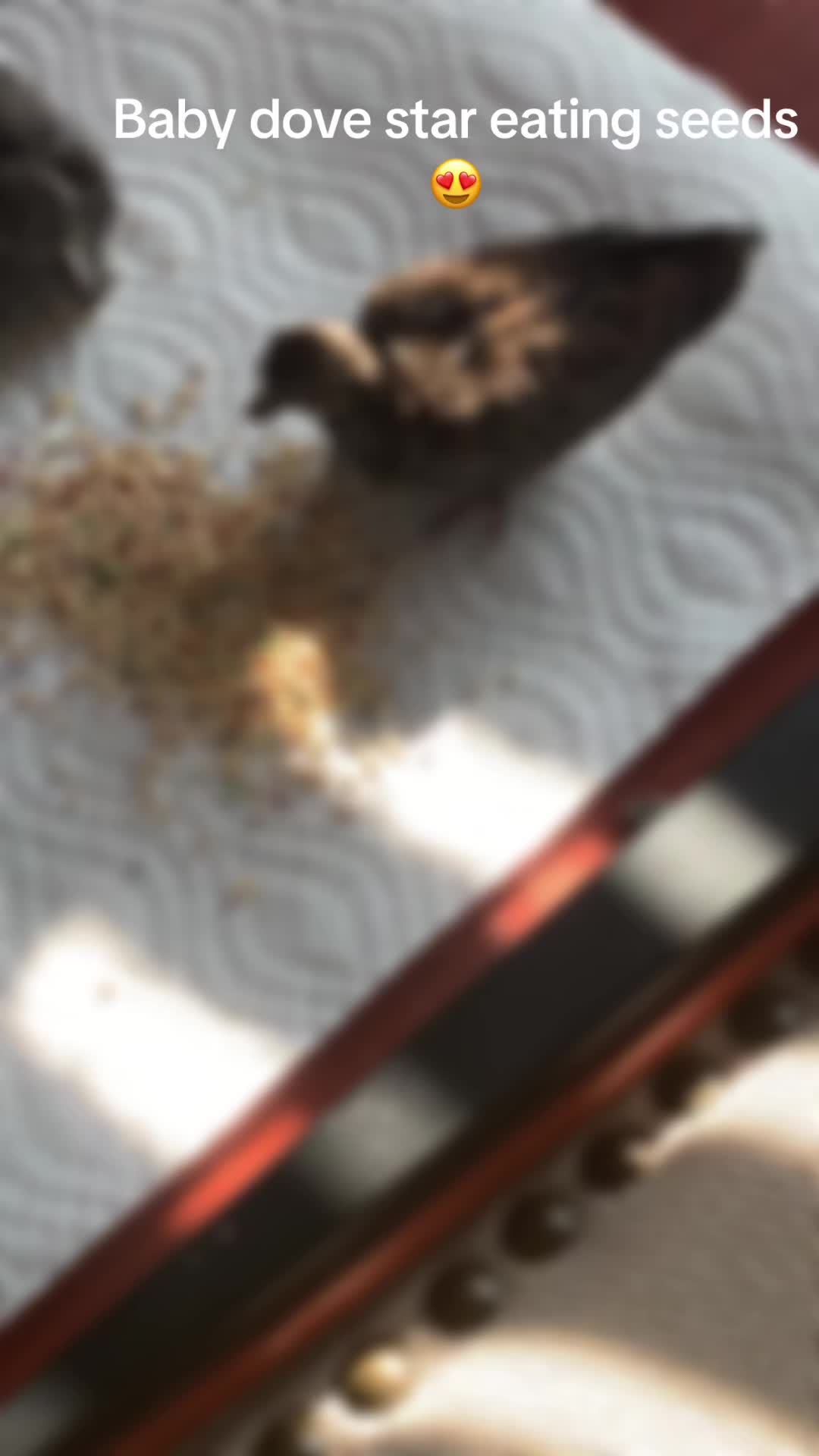 @My world