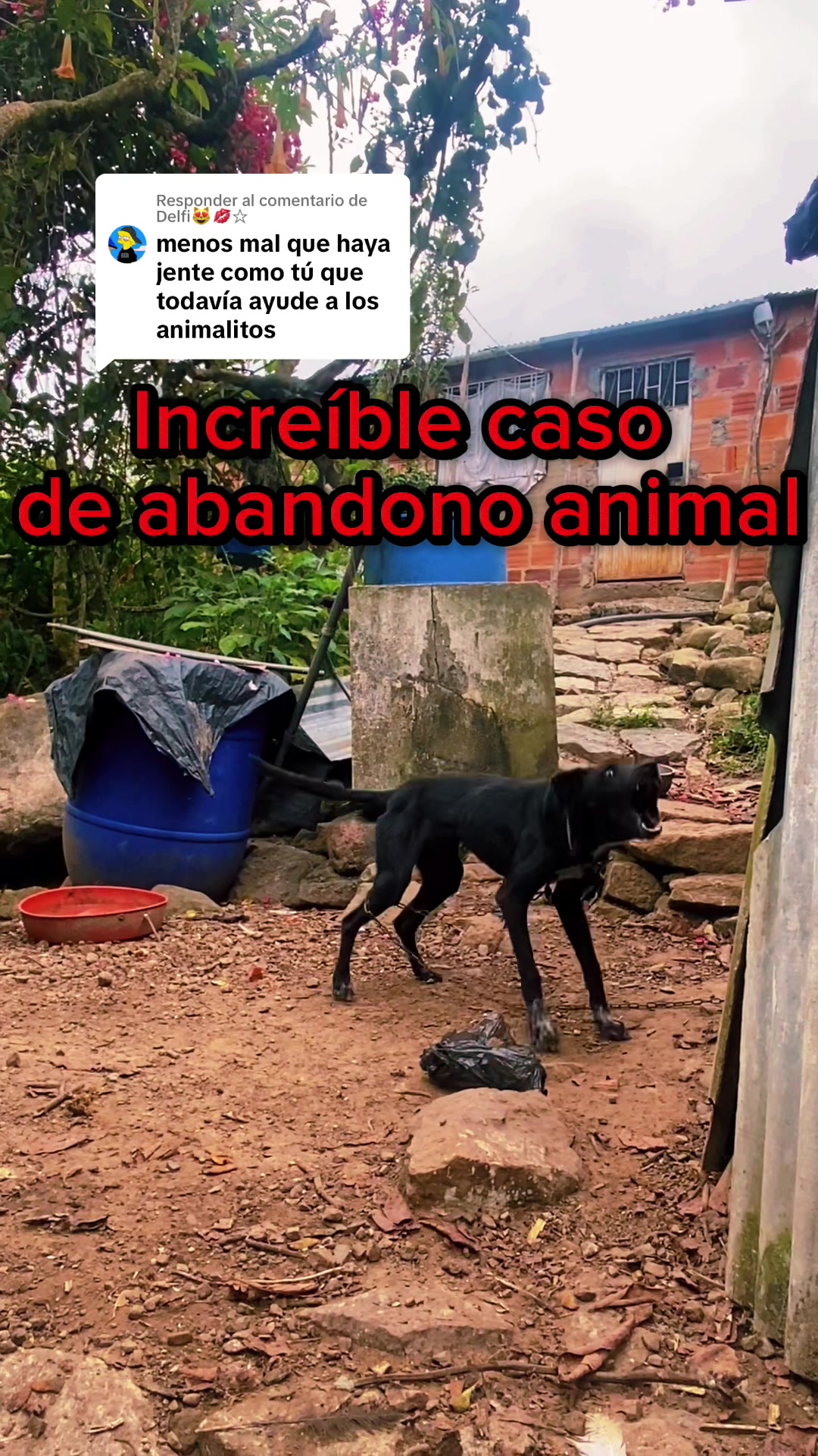 @Santos