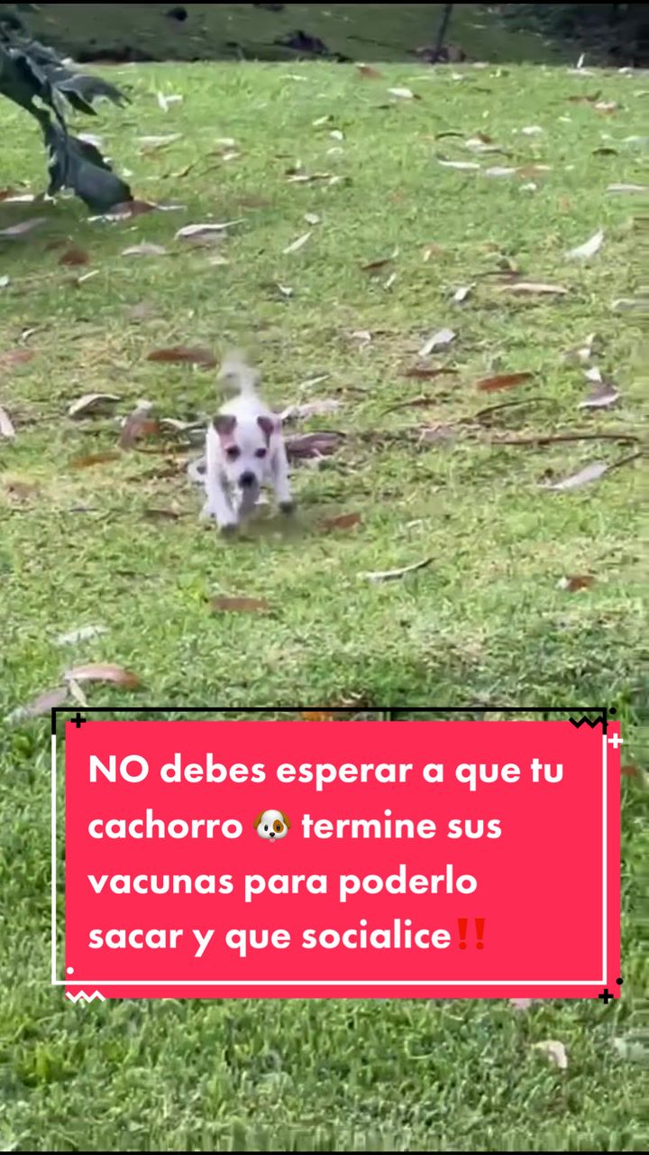 @Mariana&ensp;Parra