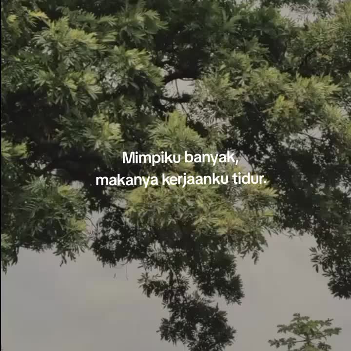 @goodvibez0