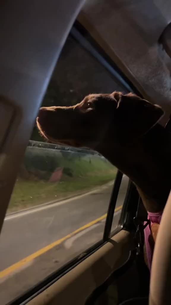 @SkipperTheChocolate