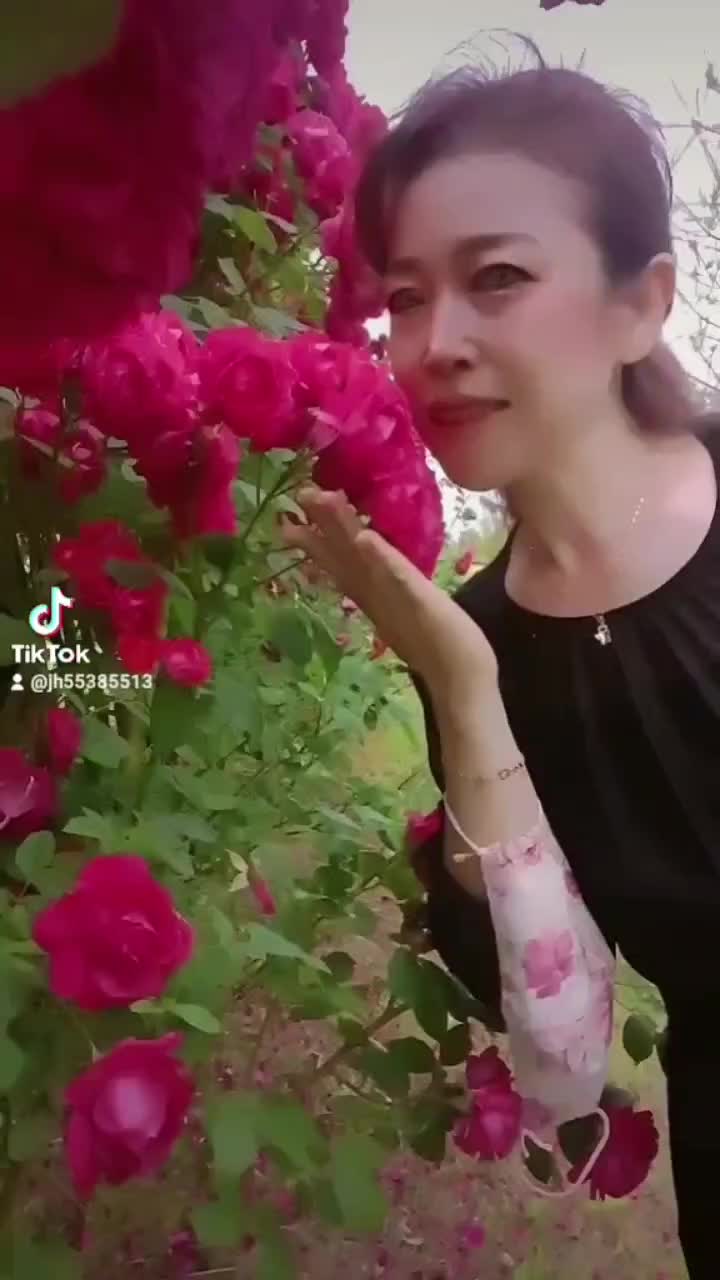 @❤心灵漫游⚘️마음힐링