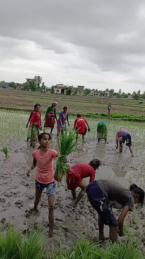 @laxmi prasad