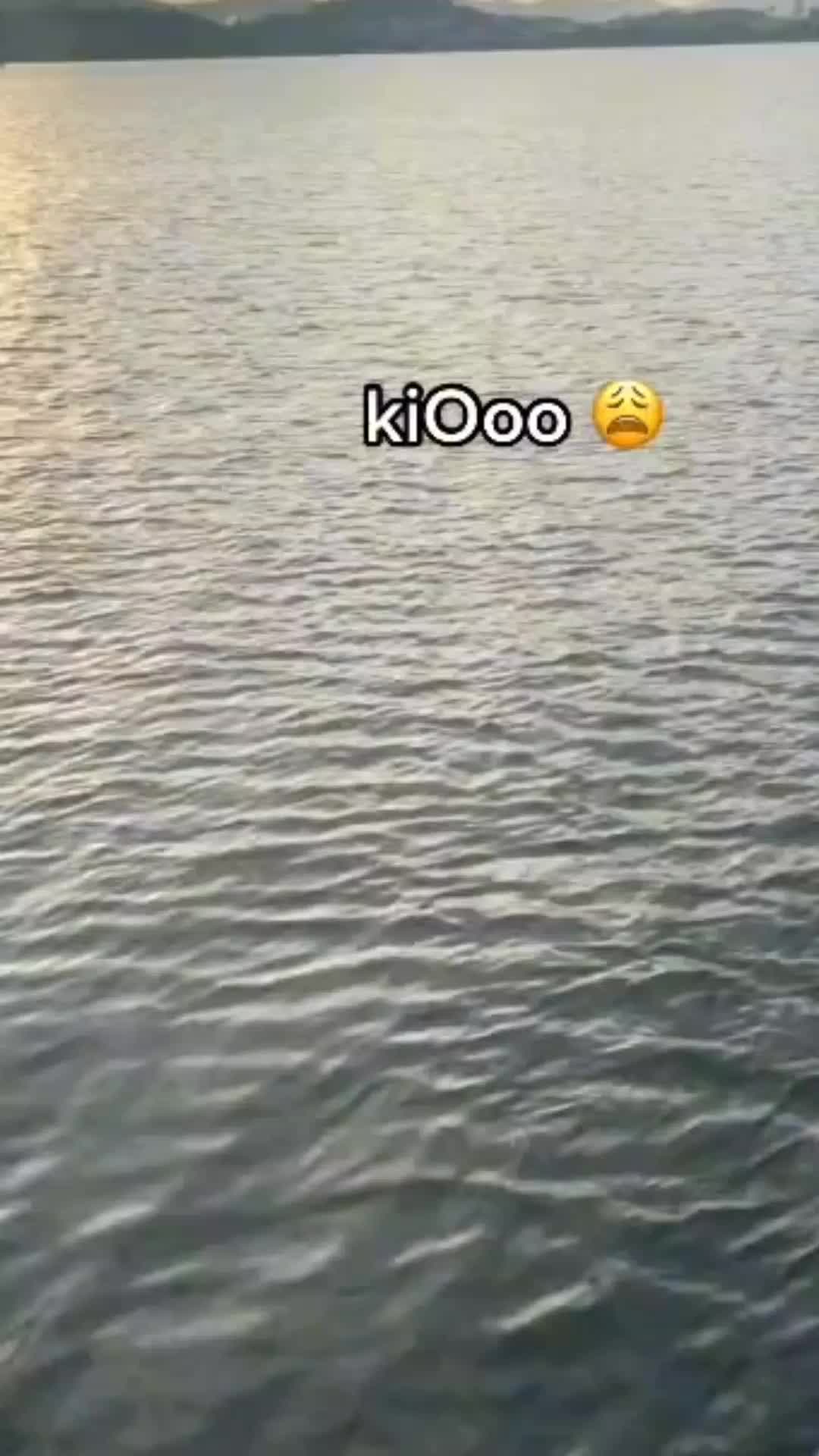 @nicole