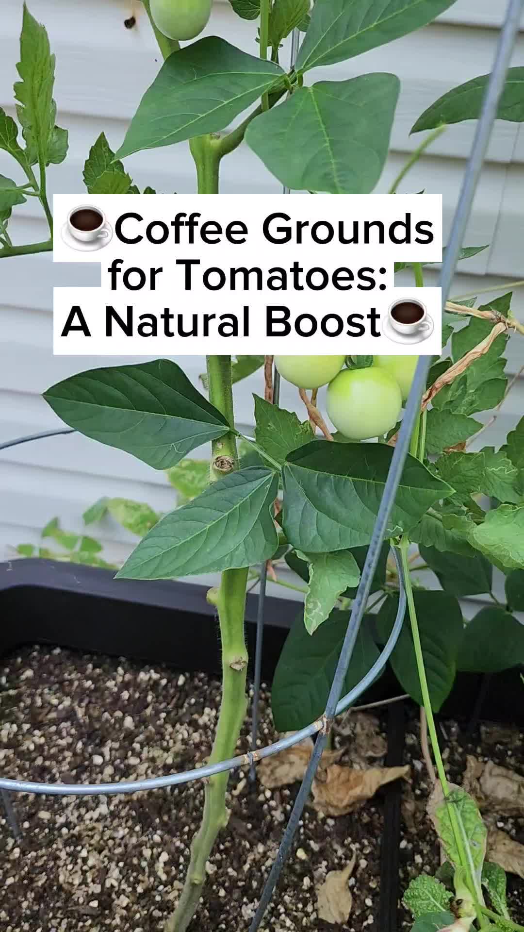 @Rescue My Plant