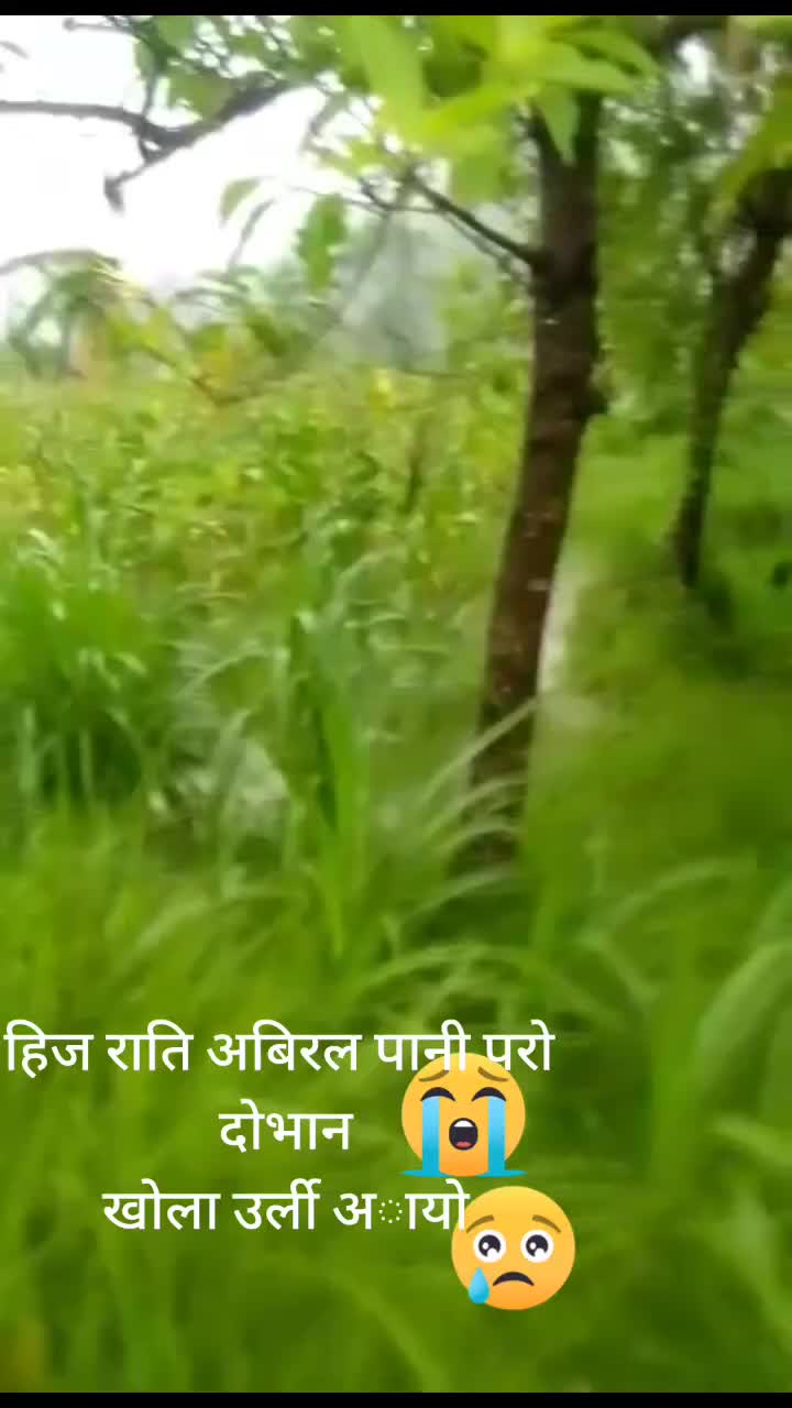 @gopalbc531