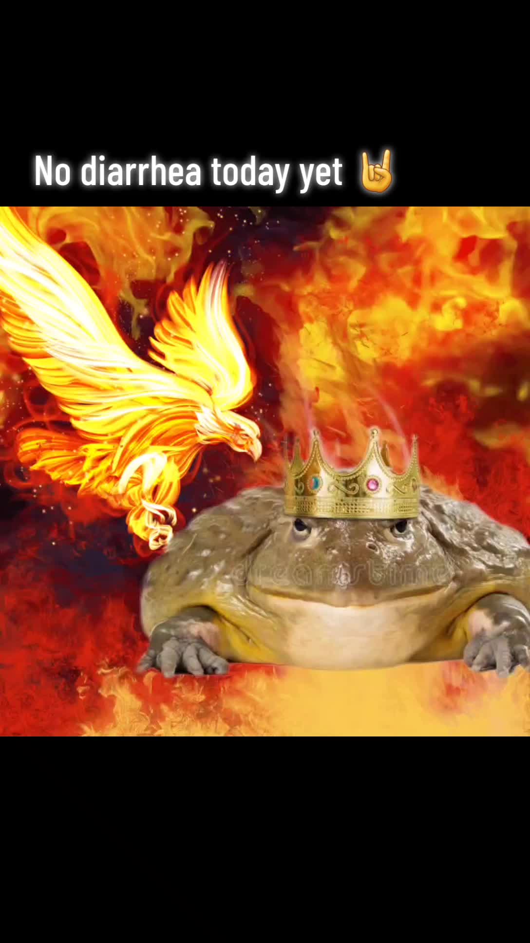 @frogs and autism