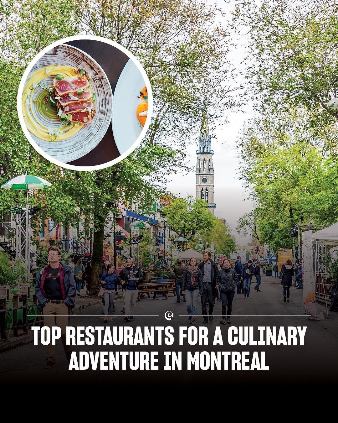 @Montreal Travelers