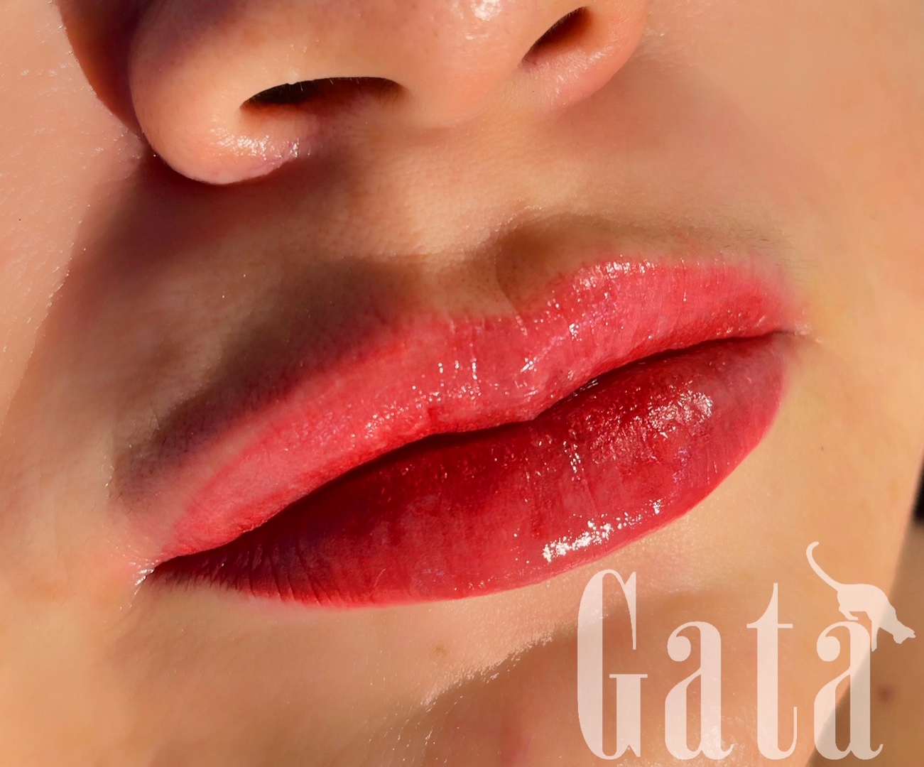 @gata.salon