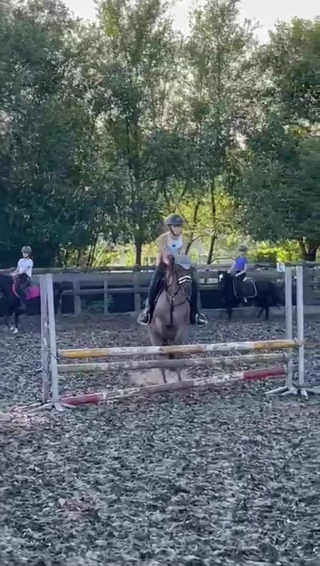 @Jumping Ponies 🔛🔝