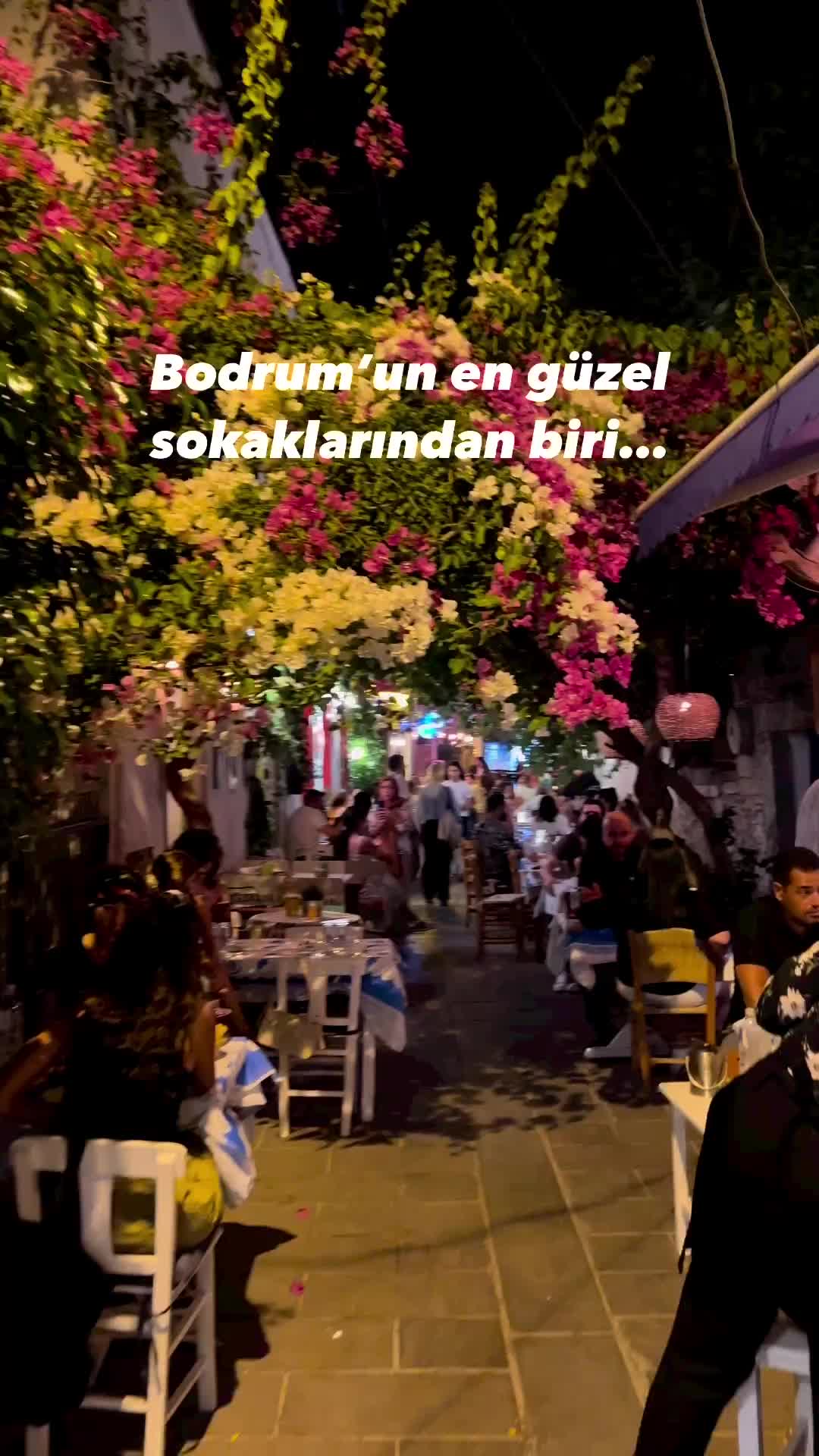 @Bodrum Mekan Rehberi