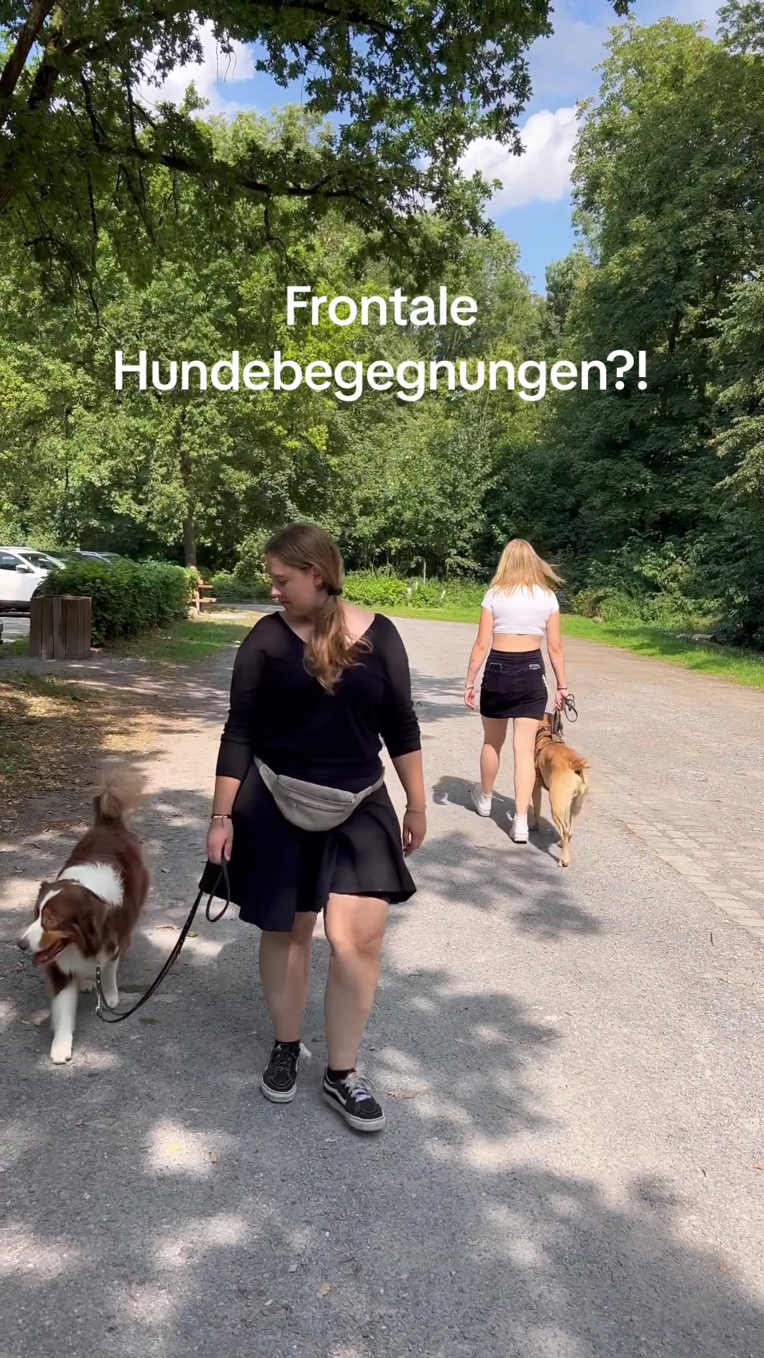 @Antonia | Hundetrainerin