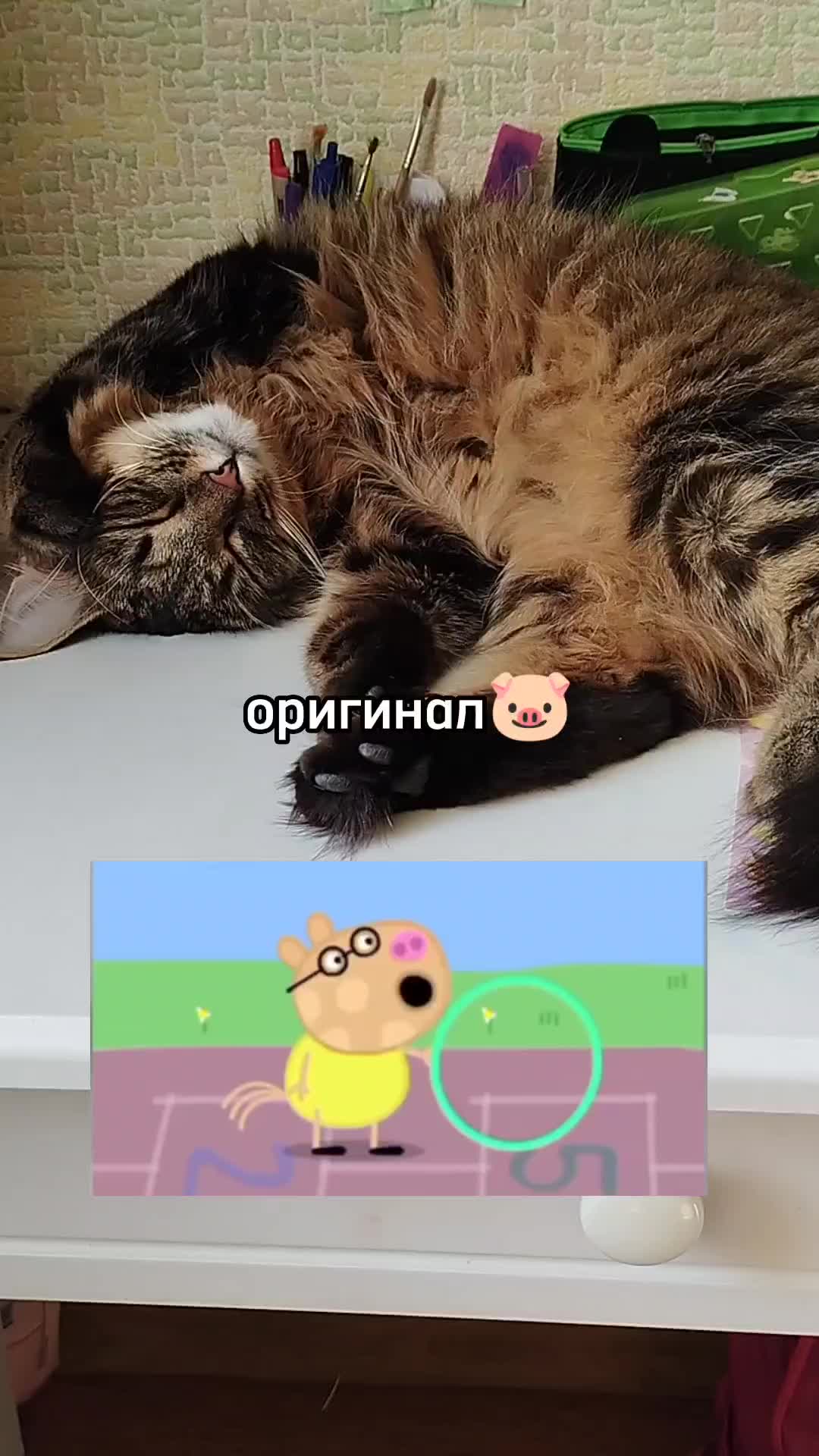 @Марсик😺💖