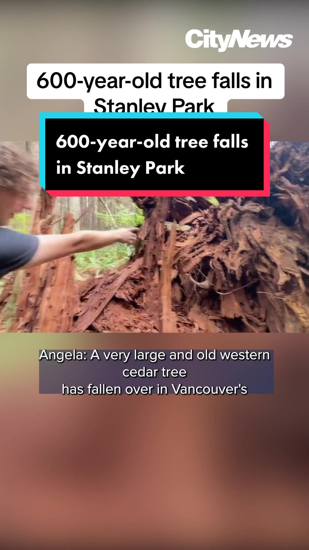 @CityNews Vancouver