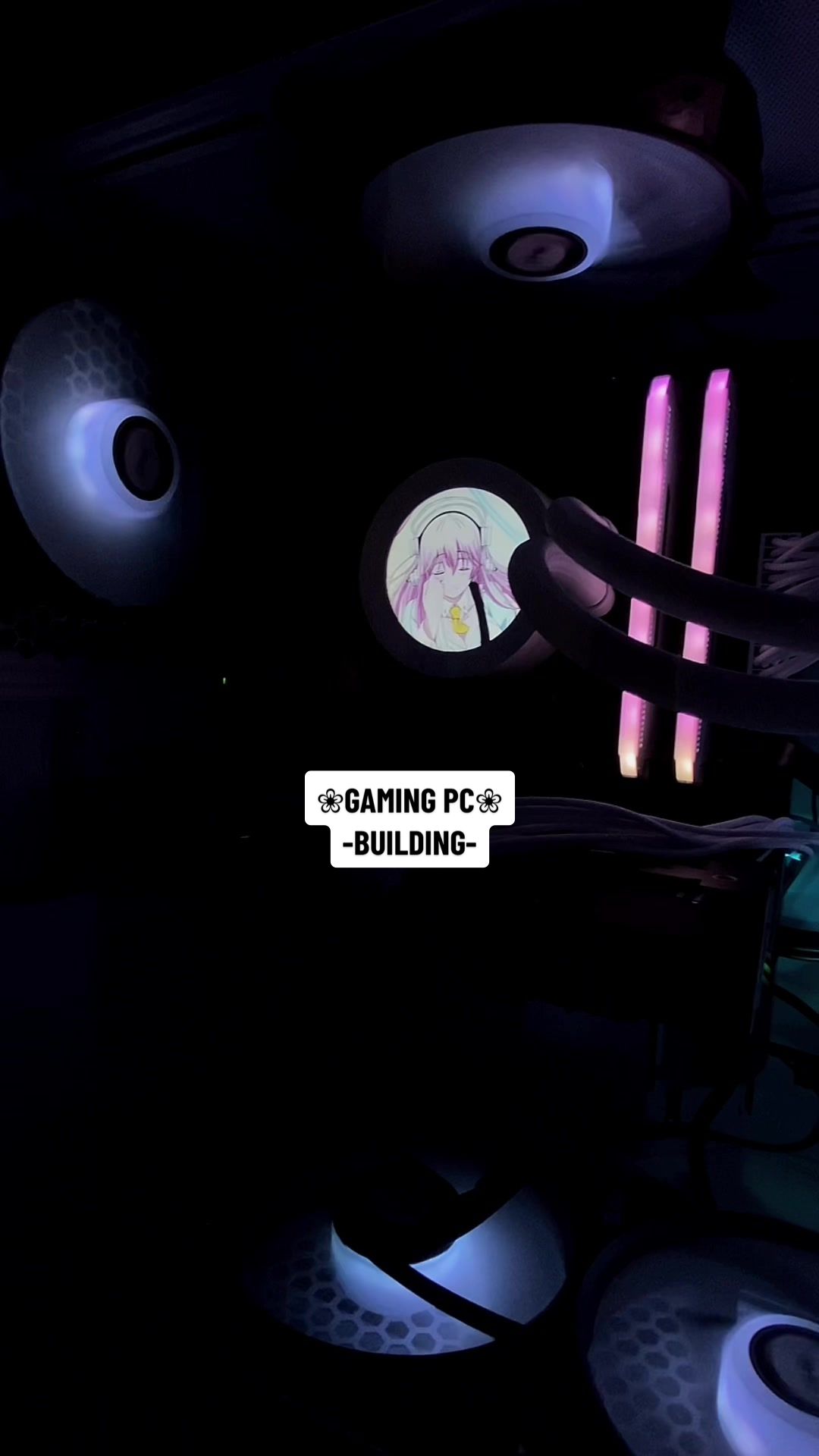 @𝐒 𝐔 𝐃 𝐄 𝐍 𝐀 𝐙