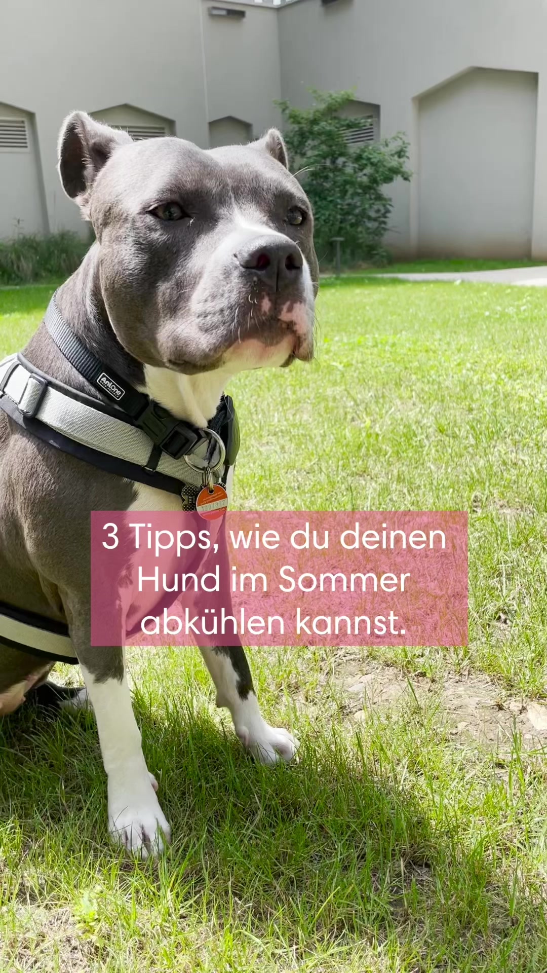 @diefutterbar