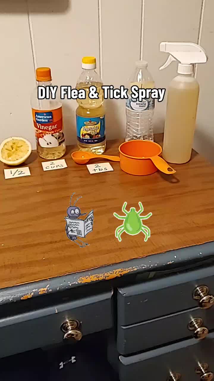 @TeachersPetSitting