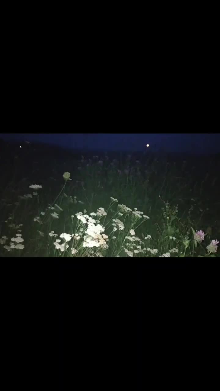 @nana. 𖤐