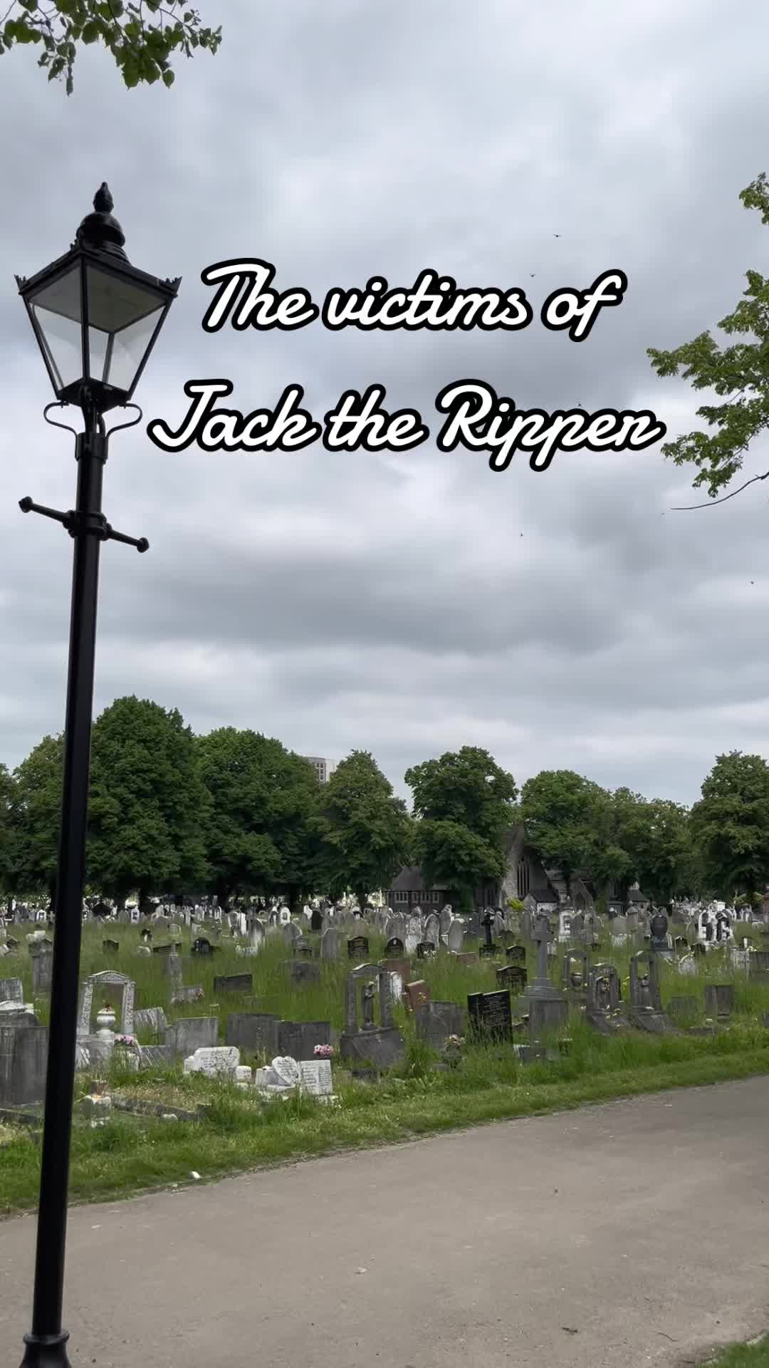 @𝕶𝖎𝖙𝖙𝖞