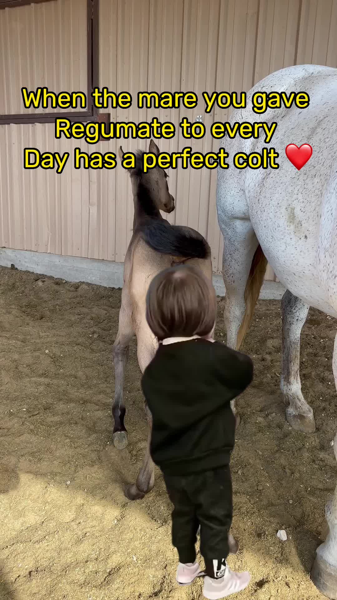 @Breelyncowan