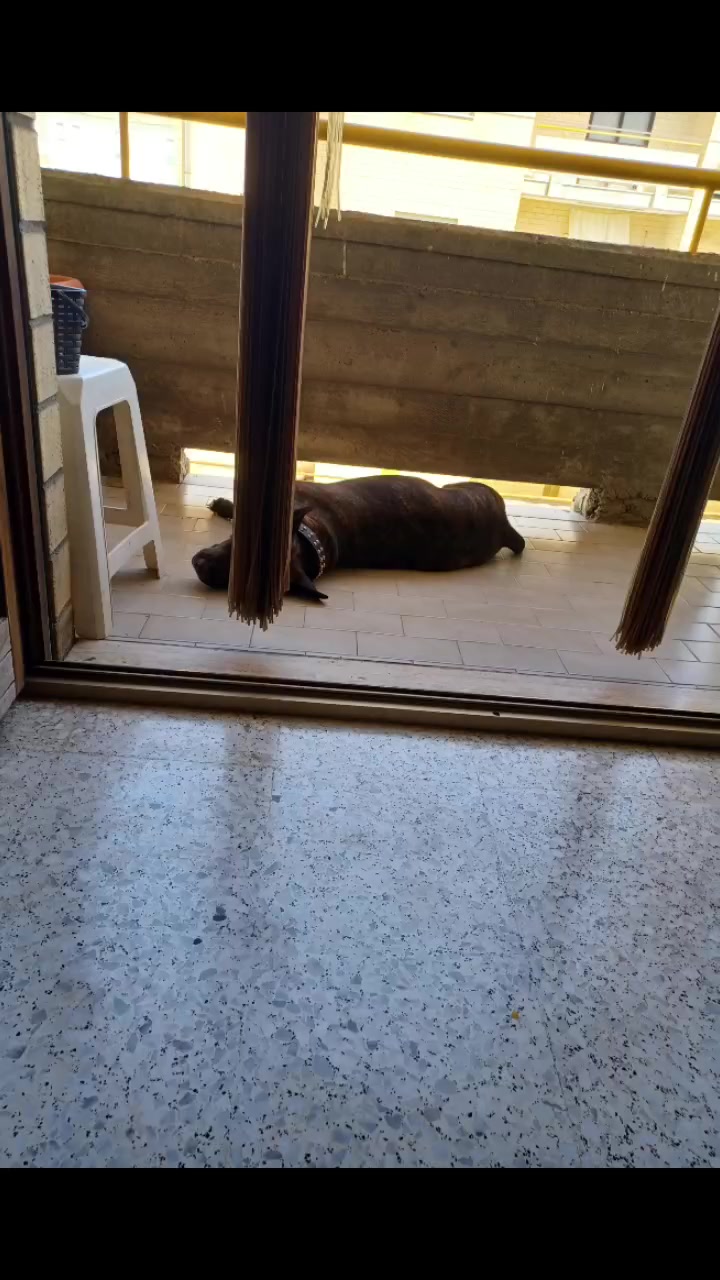 @saverioverrascina7
