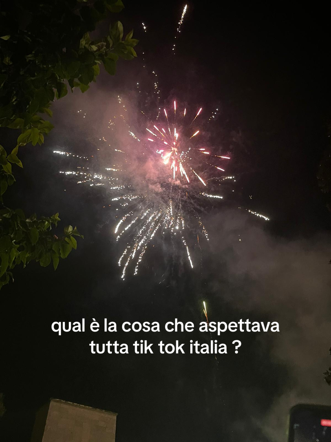 @ilaria5678