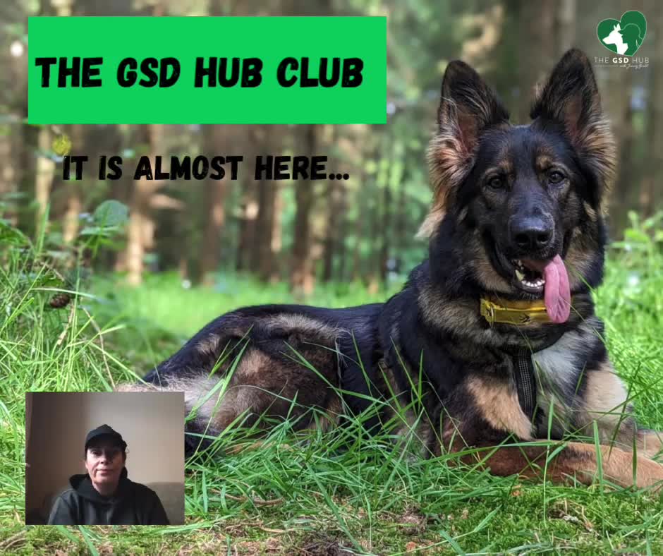@TheGSDhubwithjennygould
