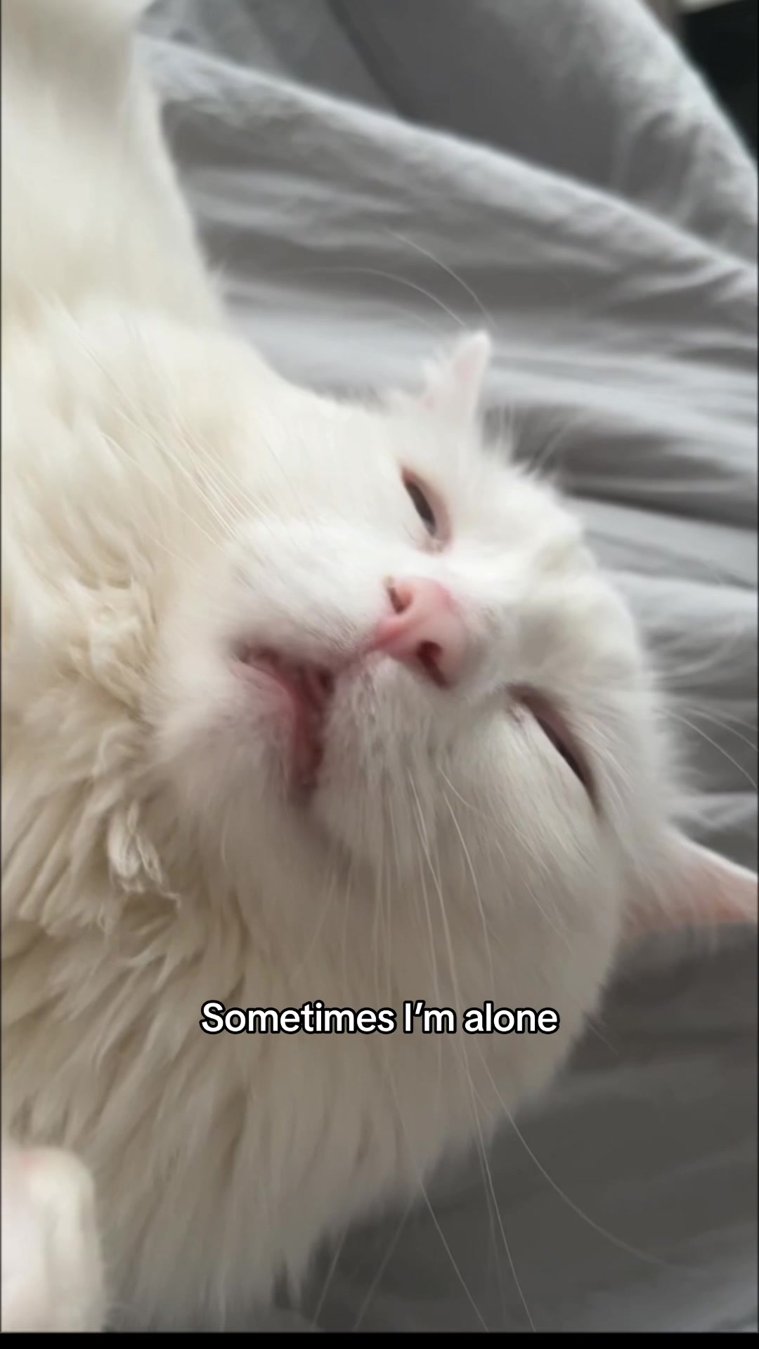 @Potato