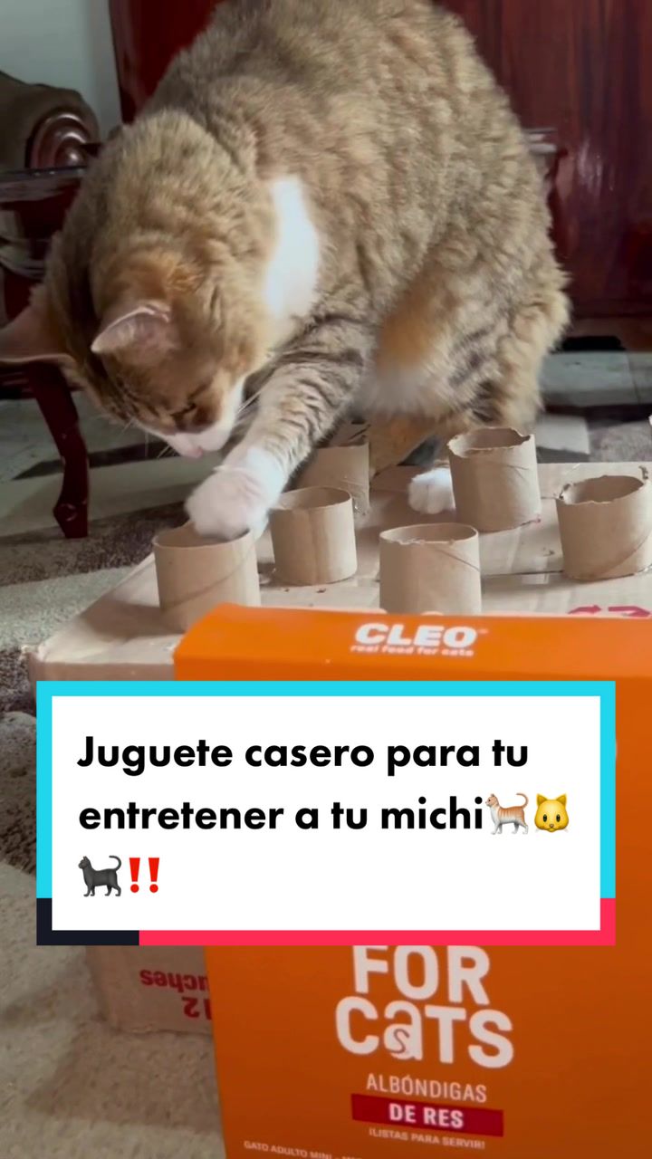 @Mariana&ensp;Parra