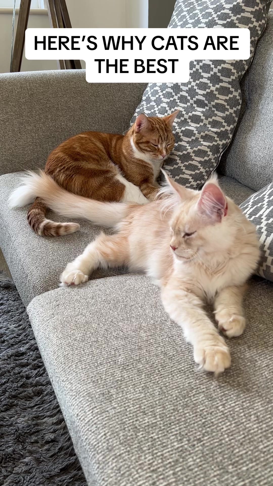 @lola_and_popps