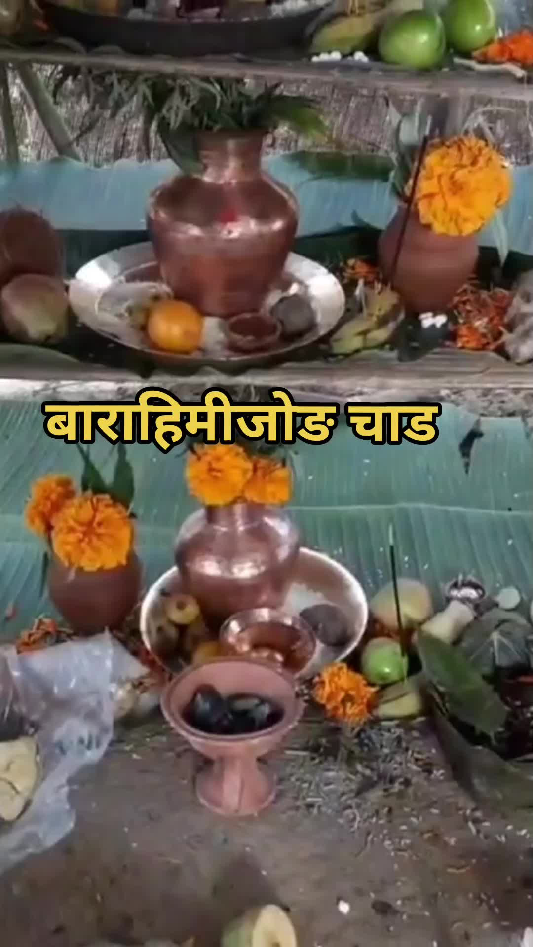 @मगरको घर