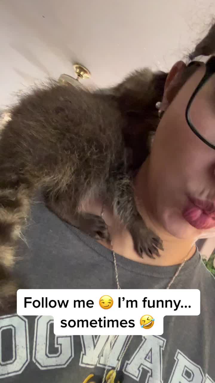 @Anjelica&ensp;Britner🥪