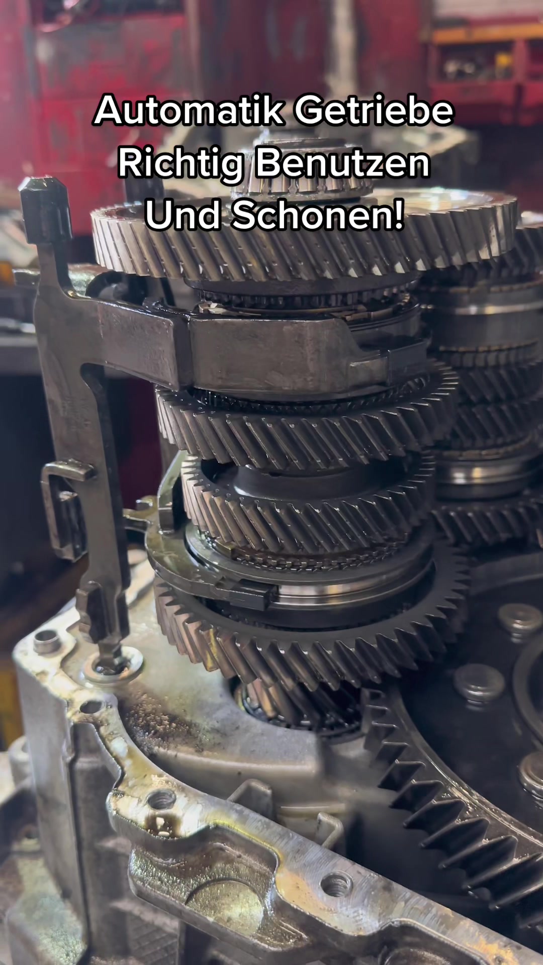 @GOLDENER_ADLER