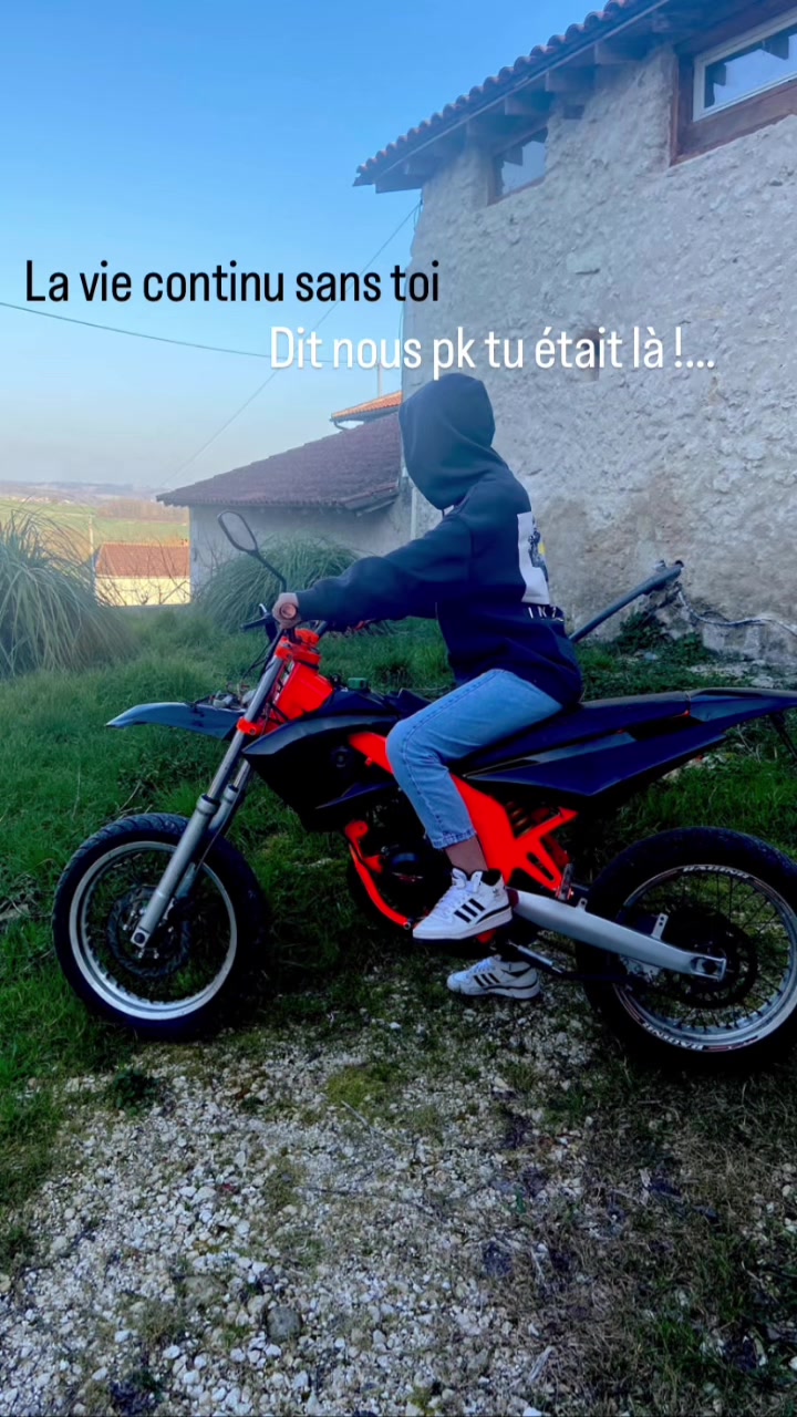 @polsmovv