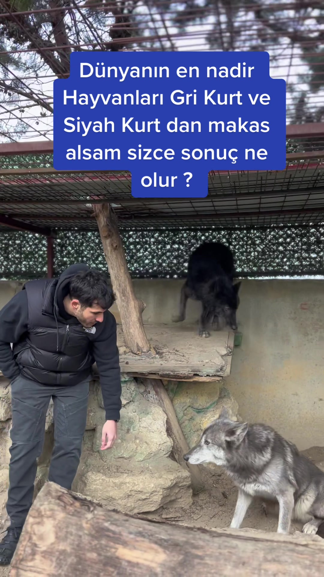 @Niko Aslaner
