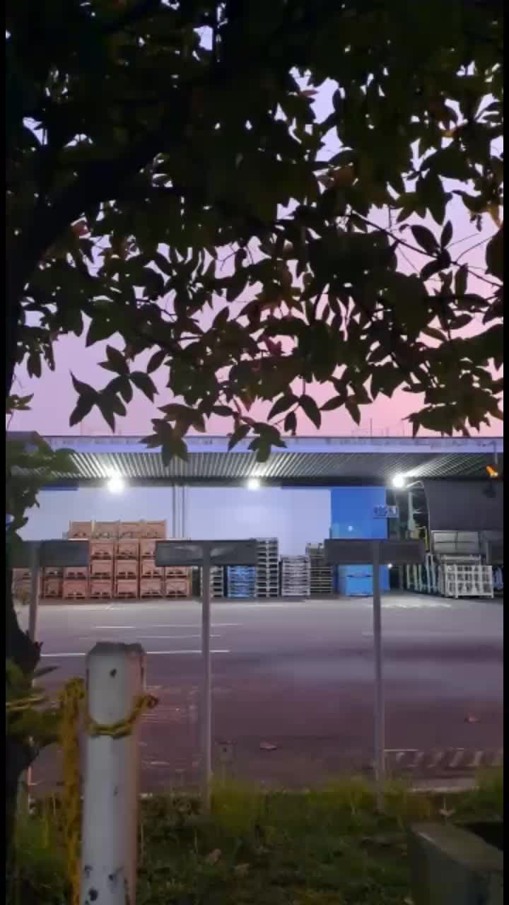 @mas er (エルフィン)