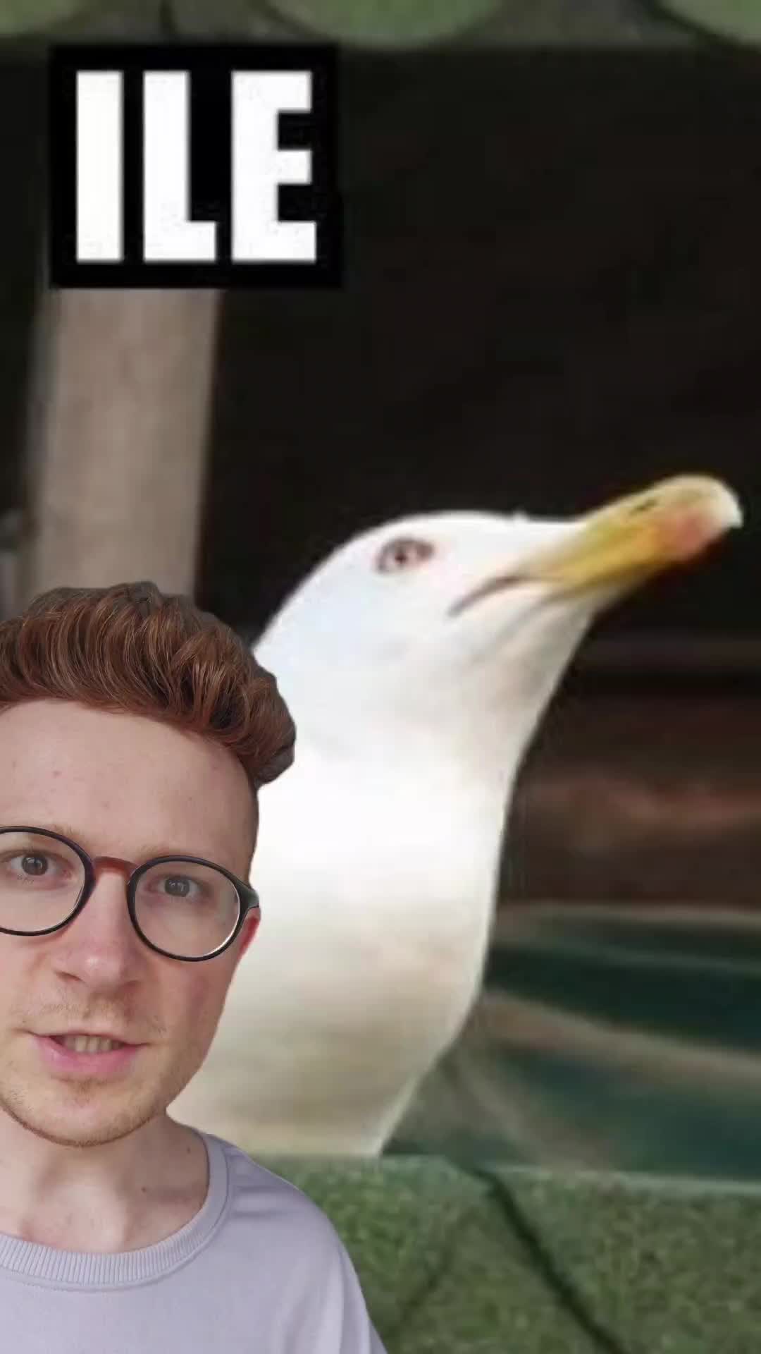 @Wit