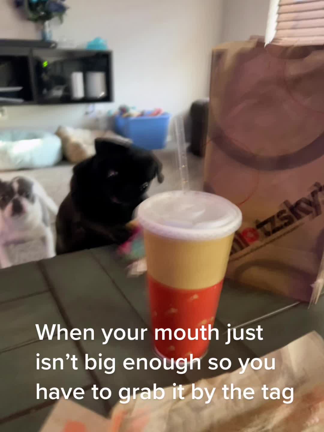 @elysemichels