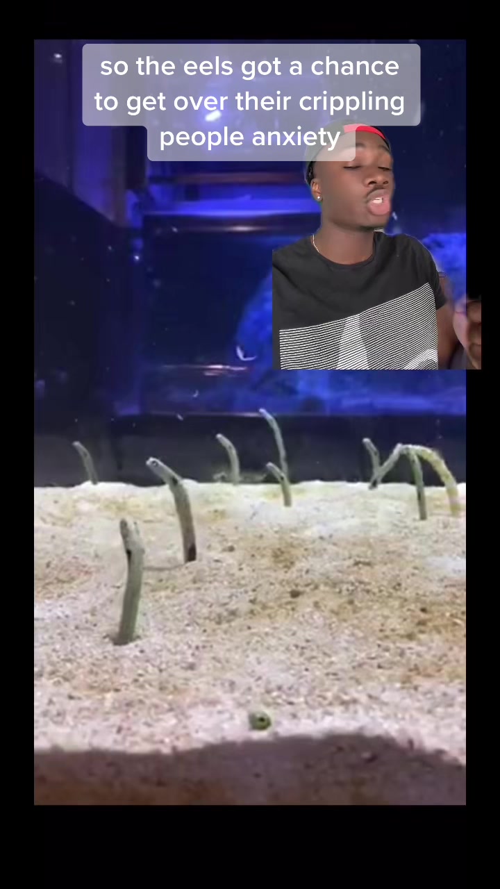 @mndiaye_97