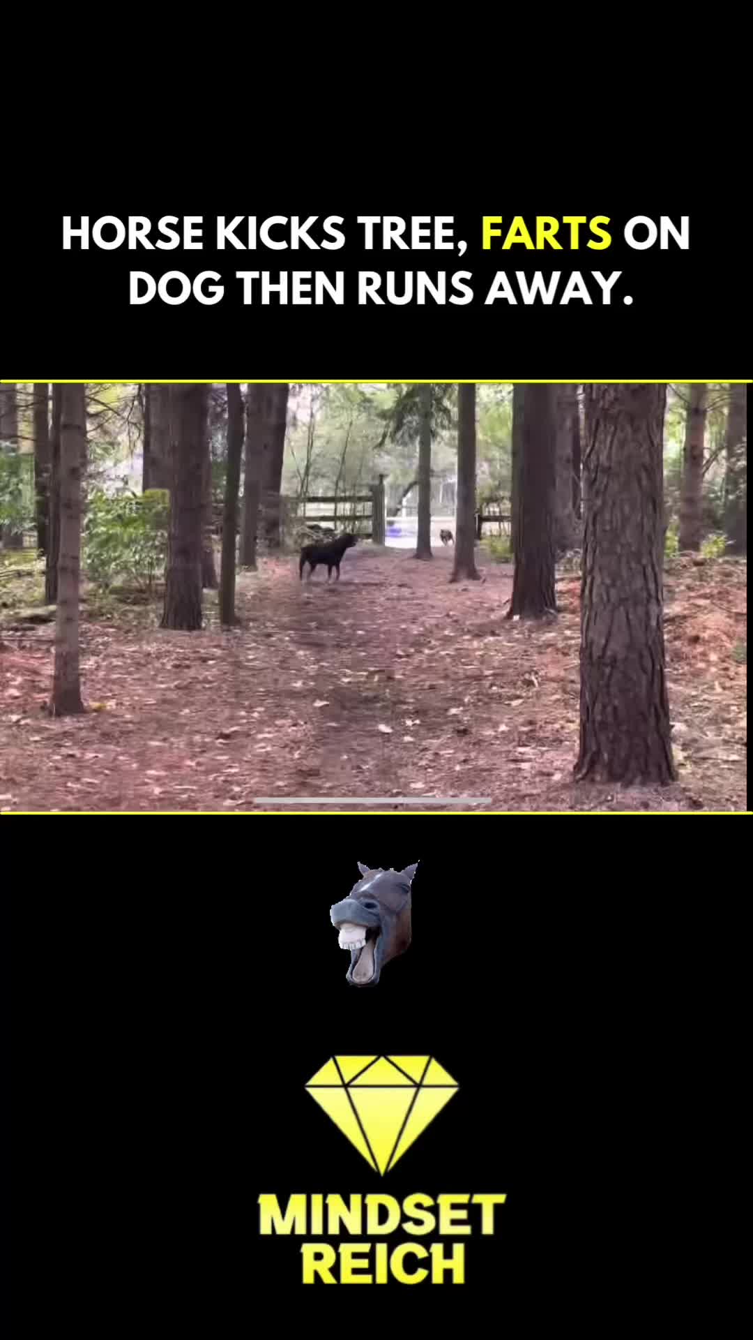 @KEINHUMOR