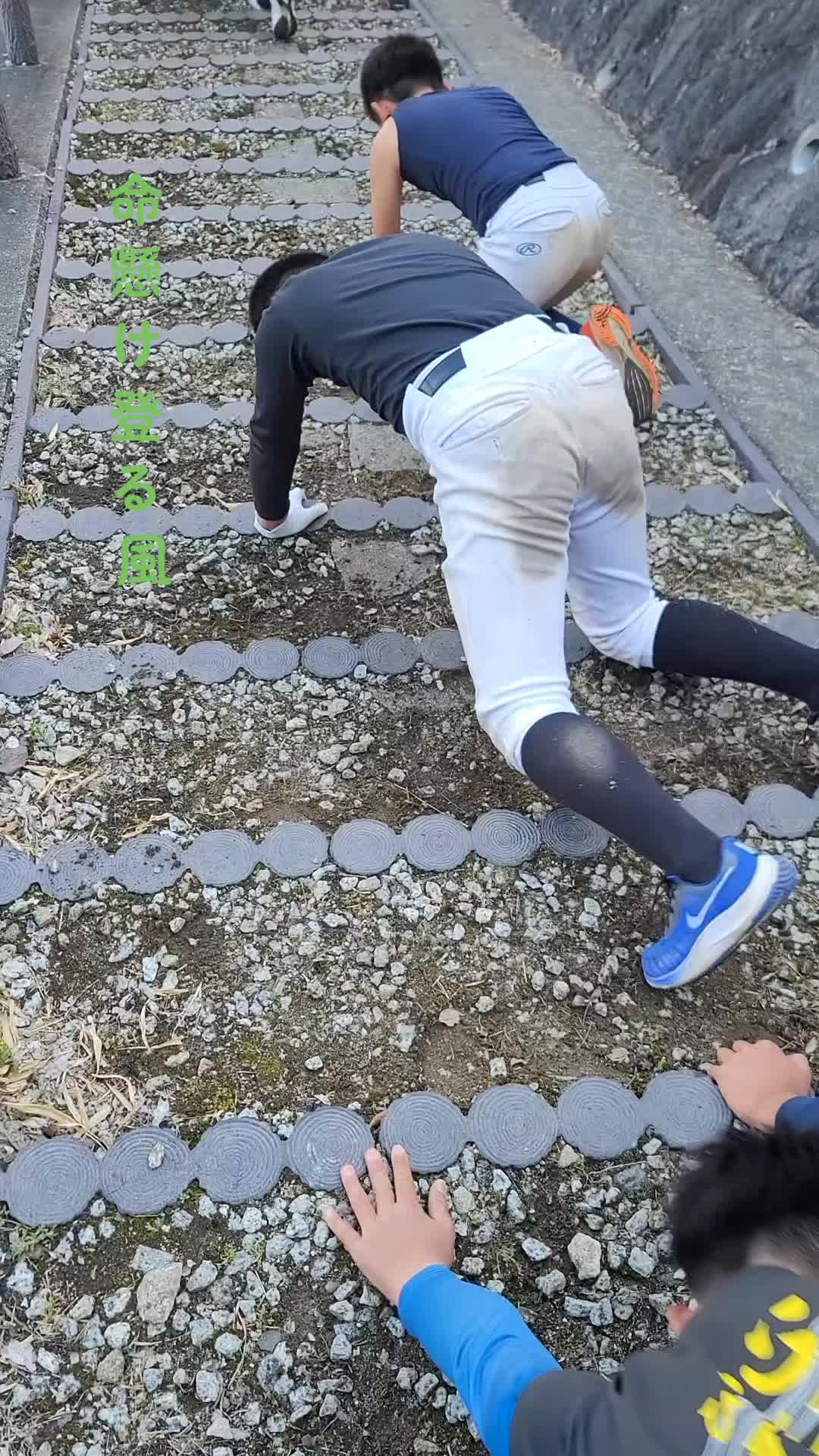 @橿原磯城リトルシニア